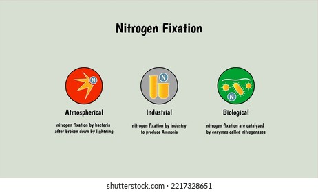 Nitrogen Fixation Methode By Industrial, Chemical, Biological. 4K Size For Video Or Presentation.