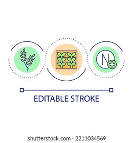 Nitrogen importance loop concept icon. Essential nutrient for plants. Seedlings. Growing grains abstract idea thin line illustration. Isolated outline drawing. Editable stroke. Arial font used