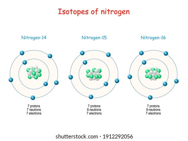 Nitrogen isotopes. structure of Atome. Labeled scheme with particles (protons, neutrons and electrons). vector illustration for science, educational, chemistry, and Physics use.