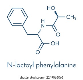 N-lactoyl phenylalanine (Lac-Phe) molecule. Formed in the body during physical exercise; also present in some fermented foods. Skeletal formula.