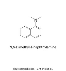 N,N-Dimethyl-1-naphthyl amine skeletal structure. amine compound schematic illustration. Simple diagram, chemical formula.