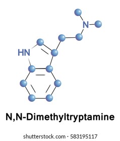 N,N-Dimethyltryptamine is a psychedelic compound of the tryptamines. It is a structural analog of serotonin and melatonin and a functional analog of such as 4-AcO-DMT, psilocybin, and psilocin