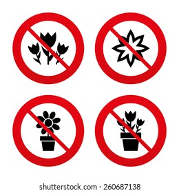 No, Ban or Stop signs. Flowers icons. Bouquet of roses symbol. Flower with petals and leaves in a pot. Prohibition forbidden red symbols. Vector