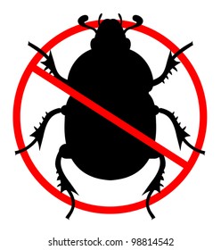 No beetle