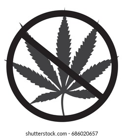 No cannabis