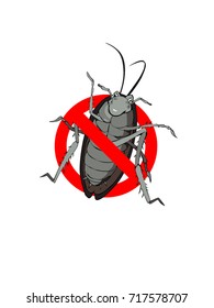 No cockroaches