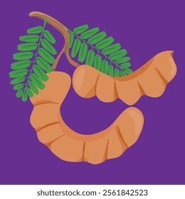 no cut tamarind full version asam jawa tropical exotic fruit flat design