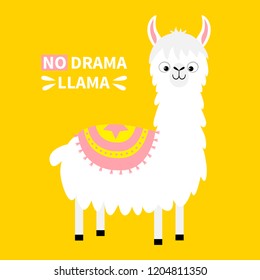 No drama llama. Alpaca animal. Cute cartoon funny kawaii character. Childish baby collection. T-shirt, greeting card, poster template print. Fluffy hair fur. Flat design. Yellow background. Vector