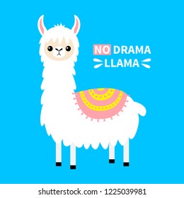 No drama llama. Alpaca animal. Cute cartoon funny kawaii character. Baby face. Childish collection. T-shirt, greeting card, poster template print. Flat design. Blue background. Vector