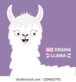 No drama Llama alpaca happy head face. Cute cartoon funny kawaii smiling character. Childish baby collection. T-shirt, greeting card, poster template print. Flat design. Violet background. Vector