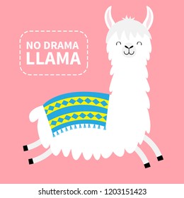 No drama llama. Alpaca running. Cute cartoon funny kawaii character. Childish baby collection. Fluffy hair fur. T-shirt, greeting card, poster template print. Flat design. Pink background. Vector