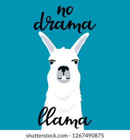 No drama llama hand drawn lettering. Adorable alpaca shows teeth. Portrait of smiling guanaco.