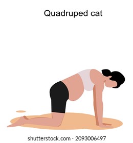 No face Pregnant woman yoga pose .Young woman Pregnant Quadrupled cat Pose with text on white background.Vector isolate flat design concept for exercising prenatal better for mum and baby.