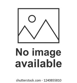 No image available icon. Flat, vector illustration.