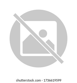 No Image Photography Vector Icon Means Stock Vector (Royalty Free ...