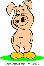 no life pig