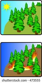 no more fires in our forest!