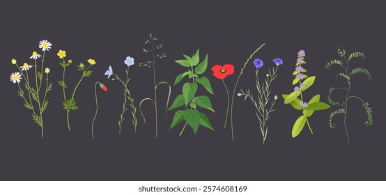 No mow May concept, wild flowers, grass and plants vector illustration