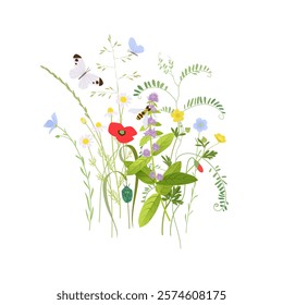 No mow May concept, wild flowers, grass and plants vector illustration