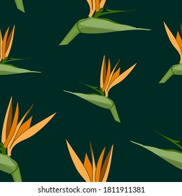 no pattern in tropical style with flowers. print for design of clothing, fabric, wrapping paper. tropical fruits, food.