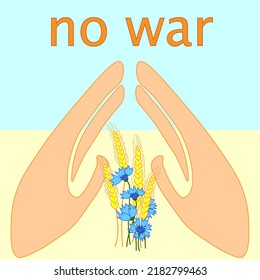 No hay guerra en Ucrania. Dos manos protegen los oídos y flores de trigo ucranianos contra el fondo de la bandera ucraniana. Amarillo y azul. Ilustración vectorial.