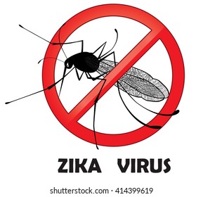 No zika mosquito gnat insect vector sign. Carry many disease such as dengue fever, zika virus, yellow fever, chikungunya disease, filariasis, malaria , enchaphalitits.