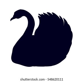 Noble Cygnus on quiet pool isolated on white backdrop. Dark ink drawn logo in art ancient engraving style. Closeup view with space for text