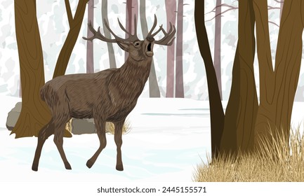 Un ciervo noble ruge en un bosque de invierno con árboles cubiertos de nieve. Paisaje de Vector realista