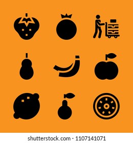 nobody, view, bunch and seed icon set. Vector illustration for web and design.