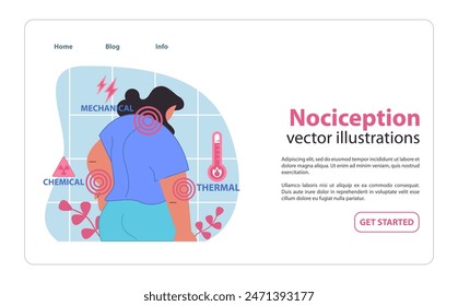 Ilustración de nicicepción. Visualización de la respuesta del cuerpo a estímulos mecánicos, químicos y térmicos. Percepción del dolor y señales sensoriales. Ilustración vectorial plana.