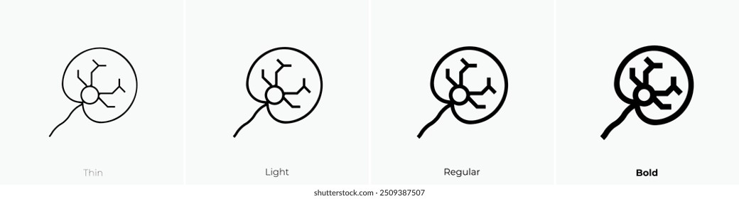 noctilucales icon. Thin, Light Regular And Bold style design isolated on white background