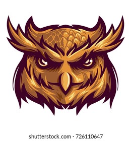 Nocturnal bird owl mascot logo for sport team