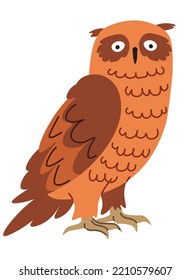 Nocturnal bird of prey, isolated portrait of owl creature with lush plumage and feathers. Wild personage with hooked claws. Forest woods animals, wildlife and natural fauna. Vector in flat style