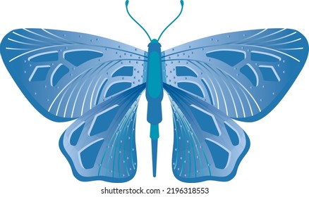 Nocturnal butterfly. Fantasy pattern winged moth animal