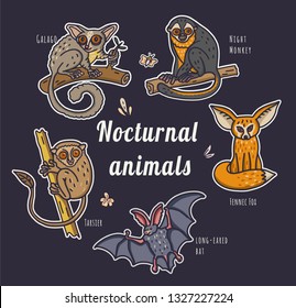 Nocturnal creatures set in doodle cartoon style on dark background. Including tarsier, fennec, bat, bushbaby, owl monkey.