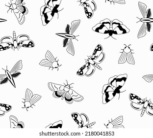 Nocturnal moth, butterflies and moth, seamless vector background in outline, pattern. Flying insects, nature, entomology and entomological, wallpaper, banner, vector design 