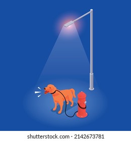 Noice pollution isometric concept with dog barking under the street light vector illustration