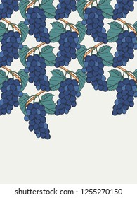 Noir muscat grapevines vineyard vector illustration in vintage botanical illustration lineart style blue black grapes berries with leaves vertical background with copy space