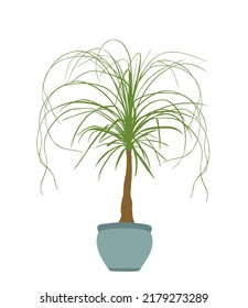 Nolina Palm Tree Vector Silhouette Illustration Isolated On White Background. Elephant Foot Plant From Mexico. Beaucarnea Recurvata Or Ponytail Palm. Decorative Room Plant.