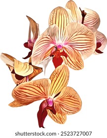 Non AI generated illustration orchid in isolated white background
Original photo is converted to vector which can be used for commercial and printing.