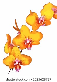 Non AI generated illustration Orchid flower in white background
Original photo is converted to vector which can be used for commercial and printing.