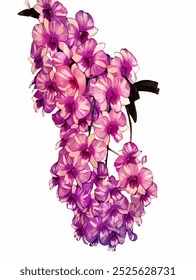 Non AI generated illustration Orchid flower in white background
Original photo is converted to vector which can be used for commercial and printing.