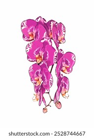 Non AI generated illustration Orchid flower in white background
Original photo is converted to vector which can be used for commercial and printing.