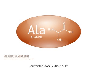 Non essential amino acids alanine brown ellipse form with chemical structure on white background. For design supplement for the body and muscles. Medical Science. Vector EPS10.