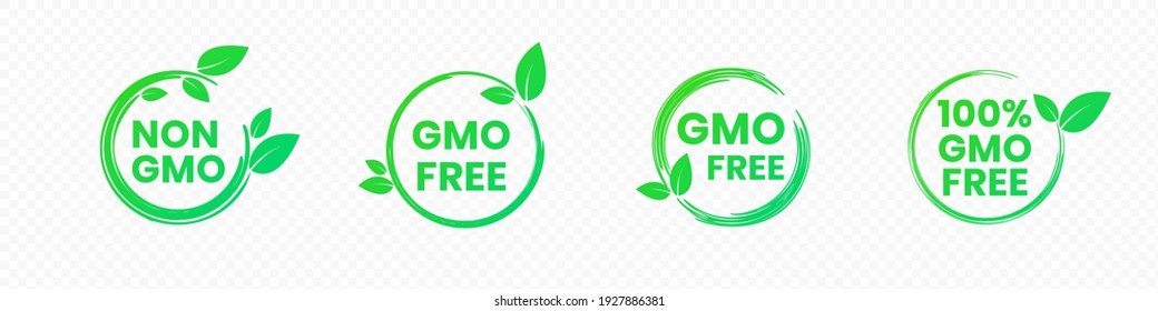 Non gmo and gmo free badges in bright green color with leaves icons. Round eco friendly emblems for promotion genetically unmodified products. Vector illustration of healthy food labels