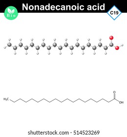 Nonadecanoic fatty acid atomic structure, nonadecylic acid molecular structure, 2d and 3d vector illustration, isolated on white background, eps 10
