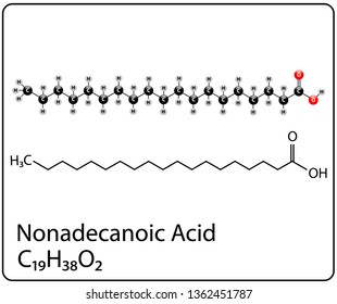 Nonadecanoic Fatty Acid Molecule Structure