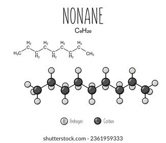 Nonane skeletal structure and flat model representation, isolated on a blank background. Vector editable