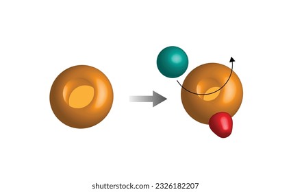 Nicht-kompetitive Hemmung der Enzyme, Hemmerbindung an eine allostrische Stelle verringerte die Enzymwirksamkeit. ein Molekül, das an eine andere als die aktive Stelle, eine allostrische Stelle, gebunden ist. Vektorgrafik.