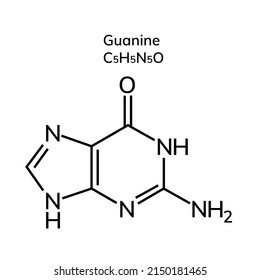 Non-essential amino acid guanine on a white background